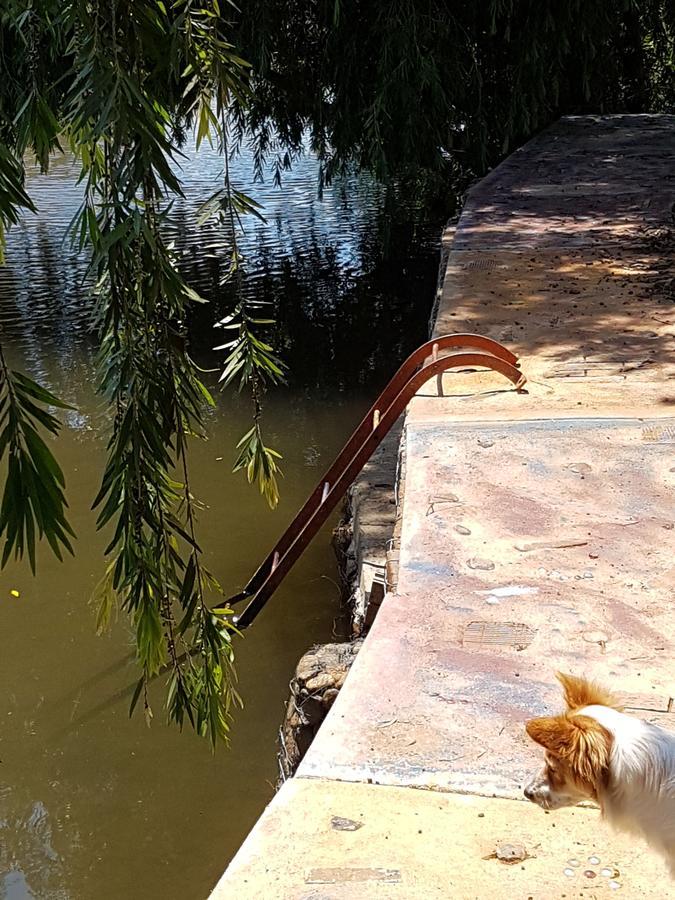 Thandamanzi Self Catering Sabie Exteriör bild
